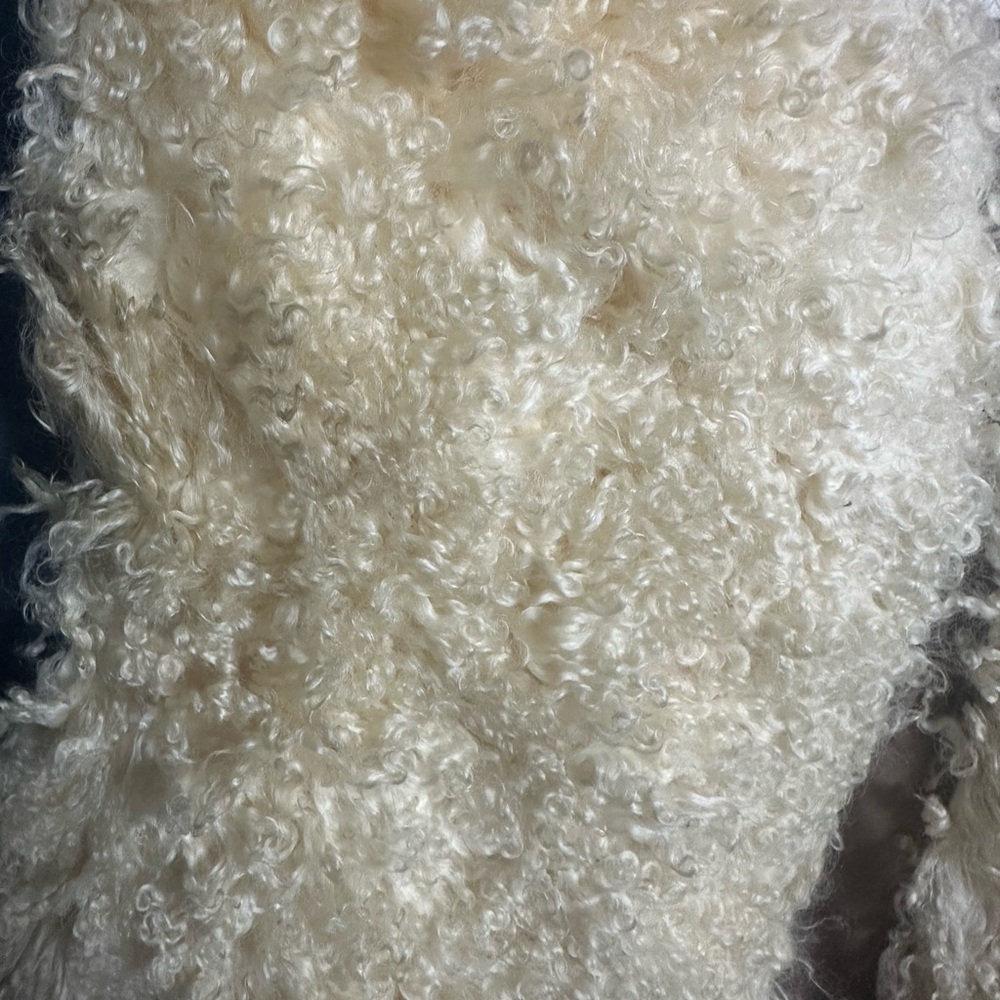 Adolfo Leigh’s Mohair Alpaca Vest Satin Lined Cream S - Picture 8 of 8